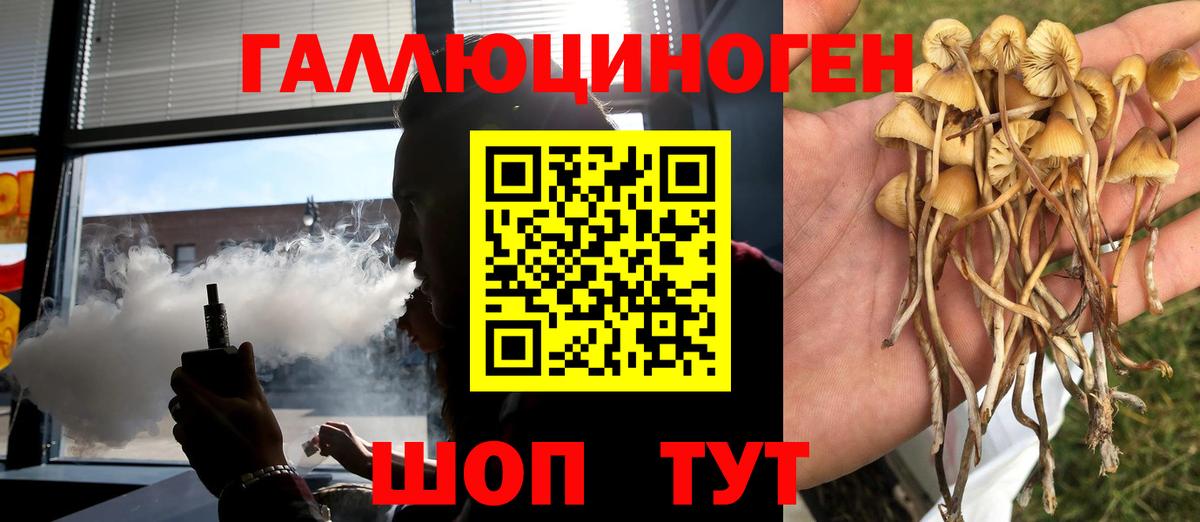 Галлюциногенные грибы Psilocybine cubensis Новый Уренгой