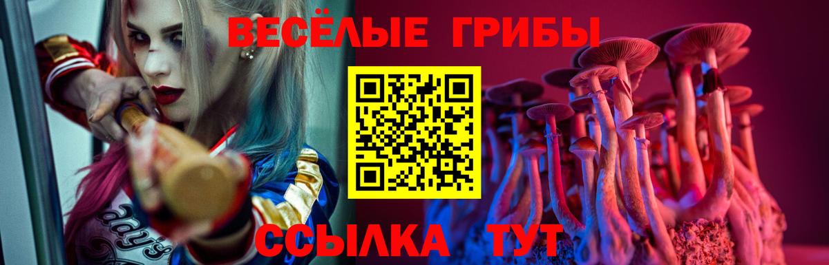 Новый Уренгой  Галлюциногенные грибы Psilocybine cubensis  купить наркоту  Вход с VPN 